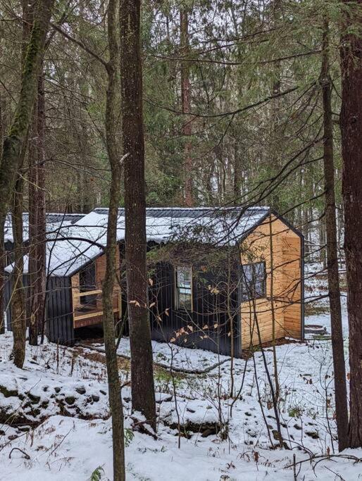 Andes Secluded Cottage Margaretville Exteriér fotografie