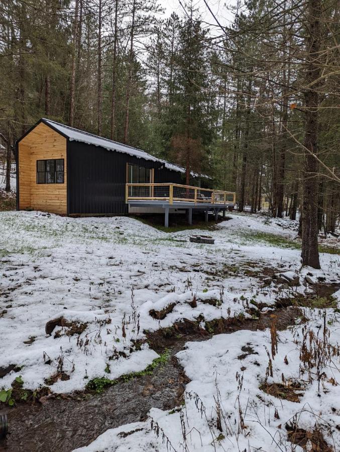 Andes Secluded Cottage Margaretville Exteriér fotografie